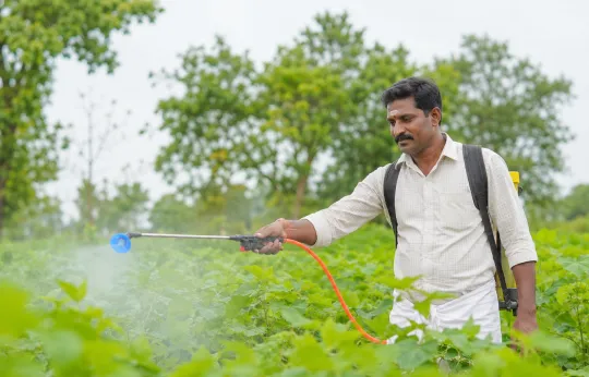 Sericulture organic input for mulberry leaf quality